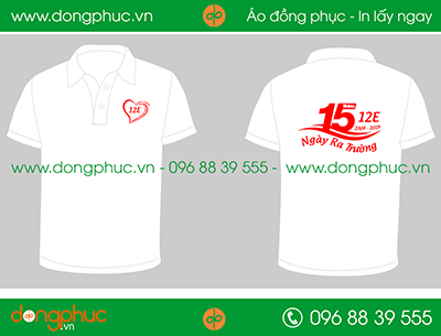 Áo phông đồng phục Lớp 12E - Trường PTTH Mỹ Đình