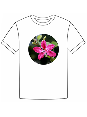 May đồng phục hình hoa ban