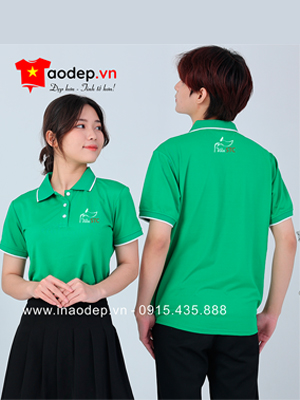 May áo phông Cửa hàng Rau STC
