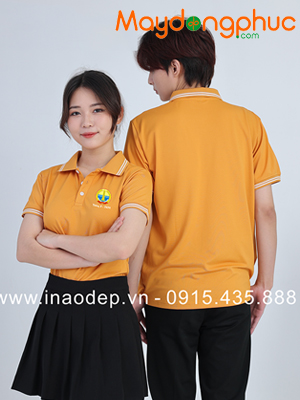 May áo phông đồng phục T3 - 2024
