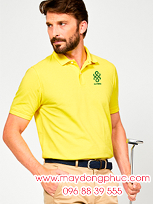 May áo phông đồng phục AmHapy